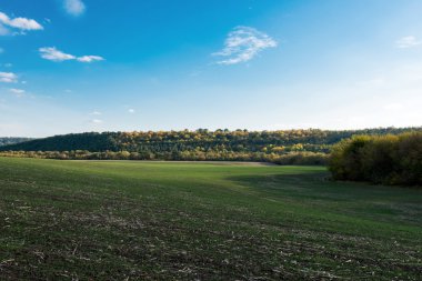 sonbahar kırsal manzara