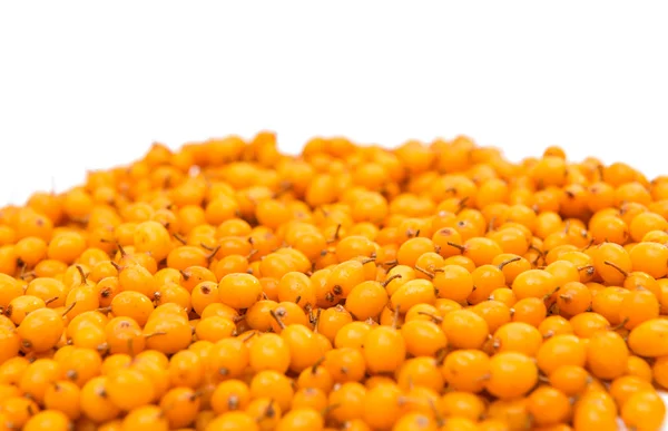 Sea-buckthorn berries — Stock Photo, Image