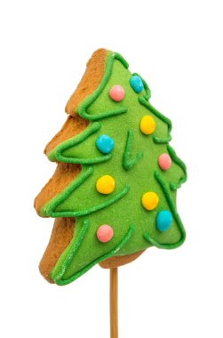 kozalaklı ağaç tanımlama bilgisi