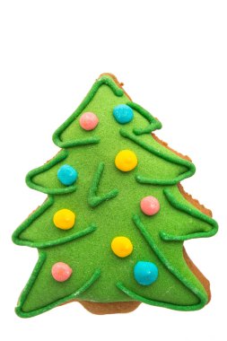 kozalaklı ağaç tanımlama bilgisi