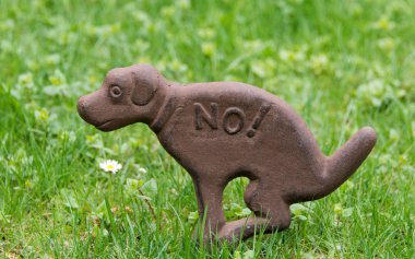 çimenler üzerinde bi bok değil işareti köpekler