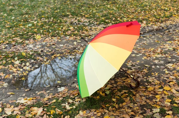 Gekleurde paraplu op herfst bladeren — Stockfoto