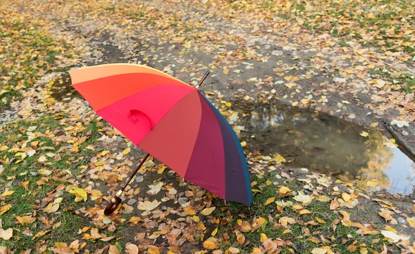 Colored umbrella on autumn leaves — Stock fotografie