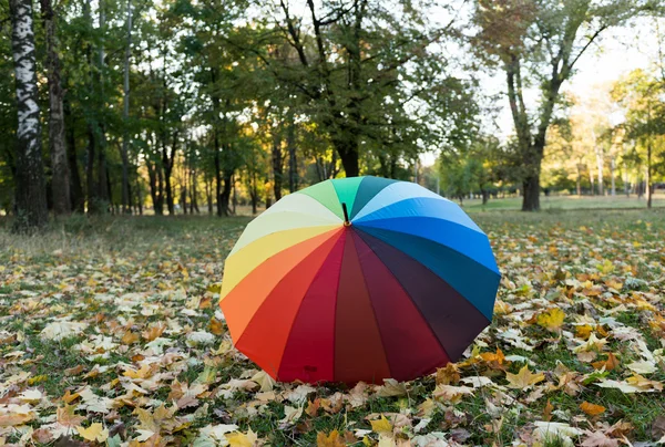 Цветной зонтик на осенних листьях — стоковое фото