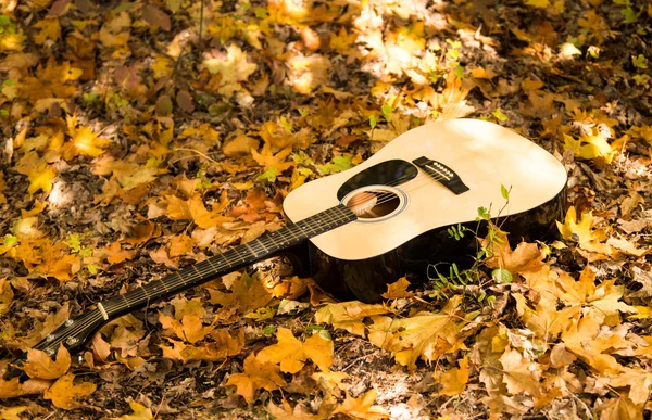 Guitar in autumn leaves — Stock Photo, Image