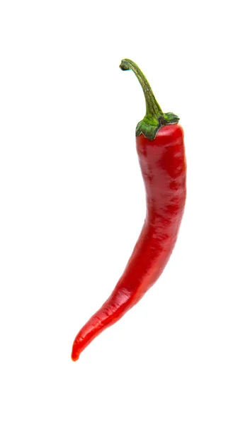 Peperoncino isolato — Foto Stock