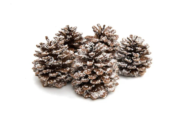 Christmas cones holidays — Stock Photo, Image
