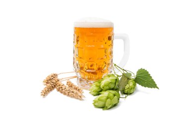 bir bira ile hop koniler 