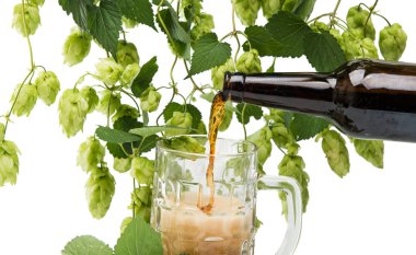 bir bira ile hop koniler 