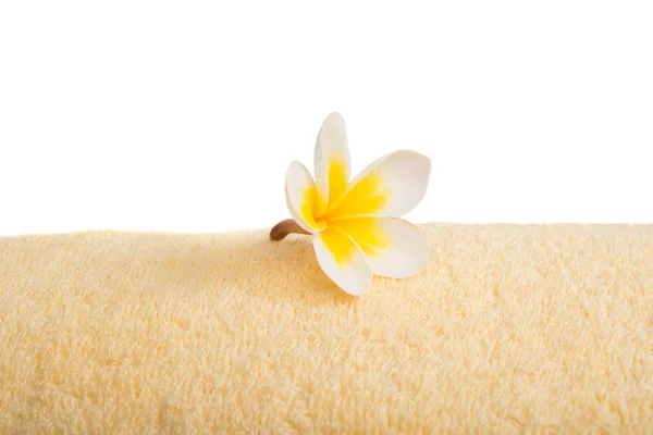 Frangipani flower on a towel — Stock Photo, Image