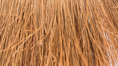 güneşli plaj şemsiyesi