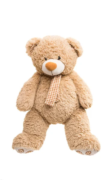 Big Bear soft toy isolated Royalty Free Stock Photos