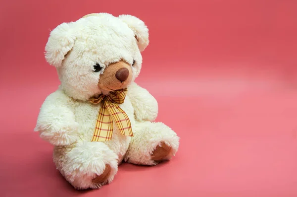 Bear soft toy, isolated