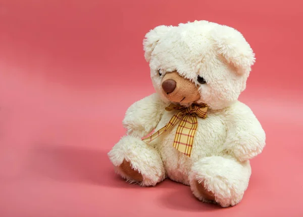 Медвежья мягкая игрушка, изолированная — стоковое фото