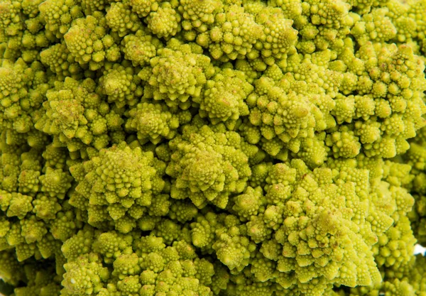 Romanesco cabbage organic — Stock Photo, Image