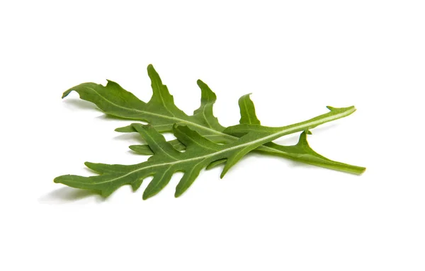 新鲜 rucola 叶子 — 图库照片