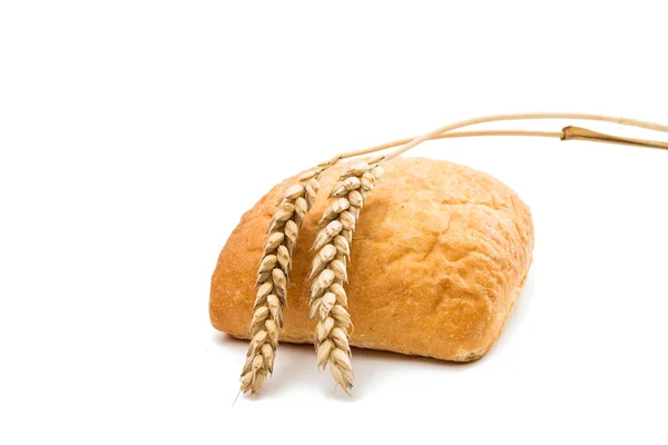 Fresh Italian bread ciabatta with ears of wheat — Stock Photo, Image