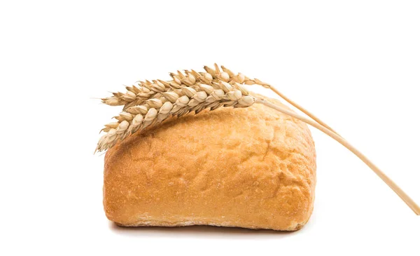 Pan fresco italiano ciabatta con espigas de trigo — Foto de Stock