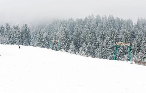 Karpatlar kış manzara — Stok fotoğraf