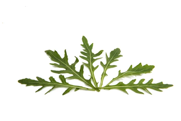 Frische Rucola-Blätter isoliert — Stockfoto