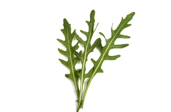 Färsk rucola lämnar isolerade — Stockfoto