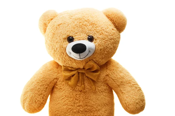 Big Bear soft toy isolated — Stock Photo, Image