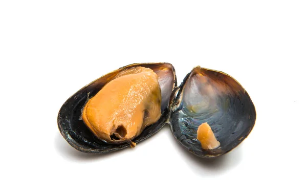 Group of boiled mussels in shells — Stock Photo, Image