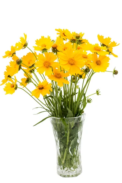 Ein Strauß gelber Blumen — Stockfoto