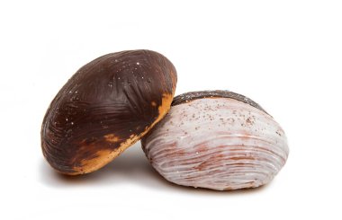 çikolatalı çörek 