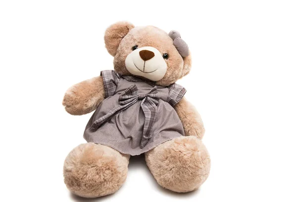 Большая медведица мягкая игрушка изолирована — стоковое фото