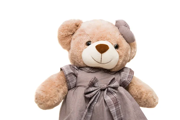 Big Bear soft toy isolated — Stock Photo, Image