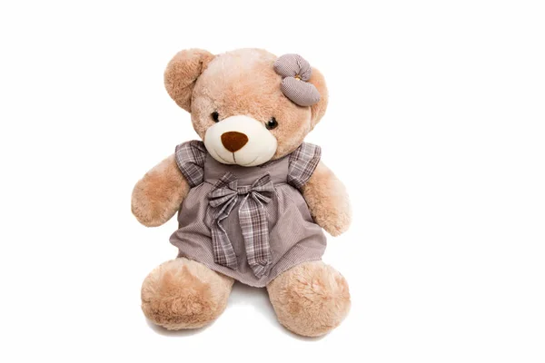 Urso grande brinquedo macio isolado — Fotografia de Stock