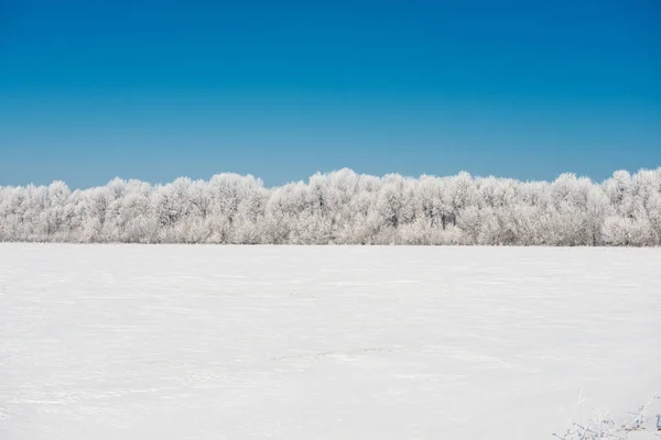 美丽的冬季风景 — 图库照片