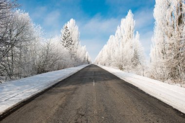 Güzel kış manzarası 
