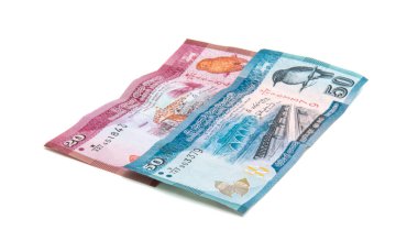 Sri Lankalı para izole 