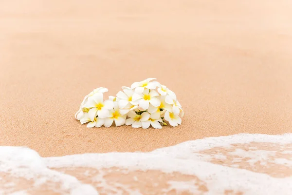太陽が降り注ぐビーチの砂の上の白いプルメリア (フランジパニ) 花. — ストック写真