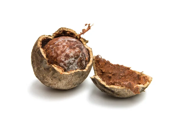 Tropisch fruit Bael geïsoleerd — Stockfoto