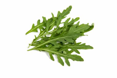 taze rucola izole 