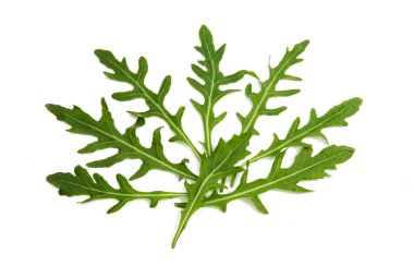 taze rucola izole 