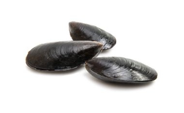 Midye izole pişmiş 