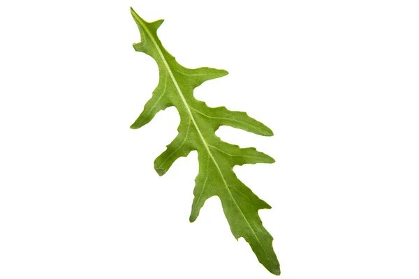 Rucola fresca isolata — Foto Stock