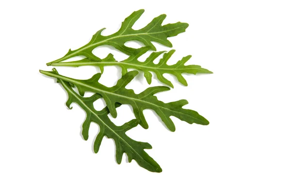 Färsk rucola isolerade — Stockfoto