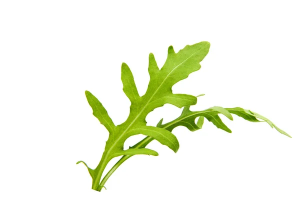 Rucola fresca isolata — Foto Stock