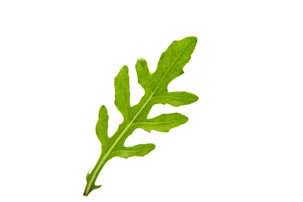 Färsk rucola isolerade — Stockfoto