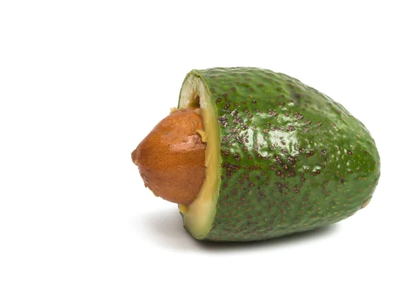 Сільське господарство авокадо ізольовані — стокове фото