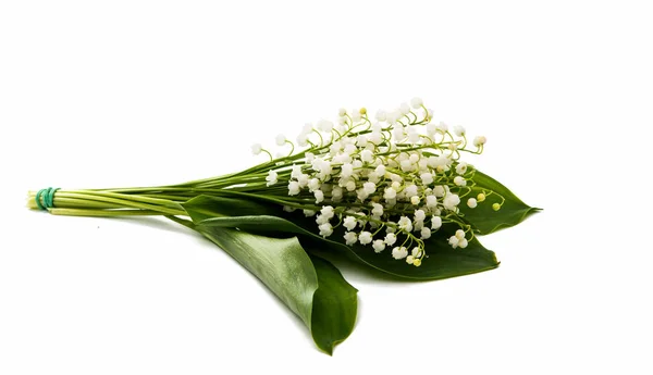 Lelietje-van-dalen bloemen geïsoleerd — Stockfoto