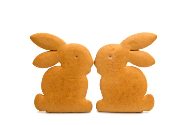 Bunny cookies isolated — Stock Photo, Image