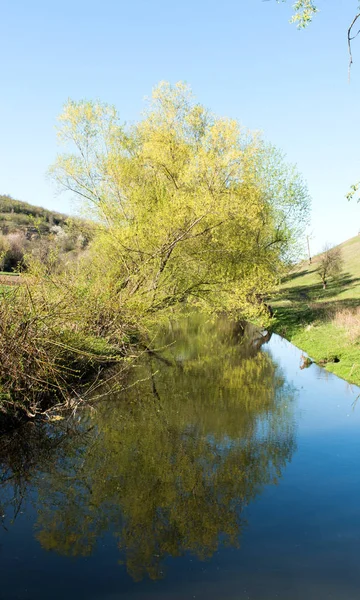 Paisagem de primavera com um rio — Fotografia de Stock