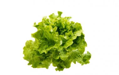 taze marul yaprakları 