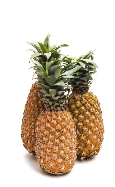 Olgun taze ananas — Stok fotoğraf